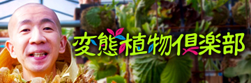 変態植物倶楽部