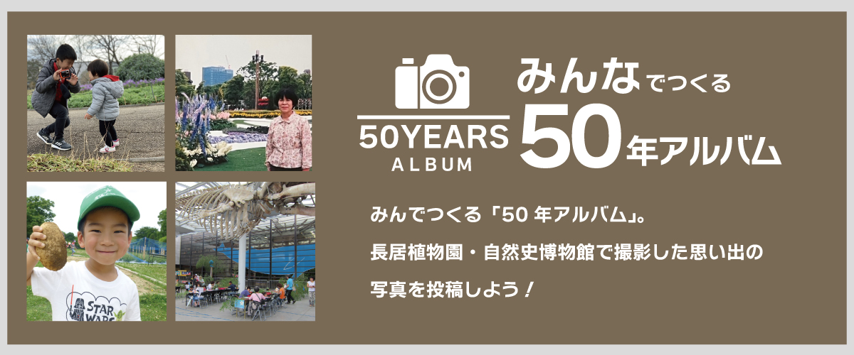 みんなの50年アルバム