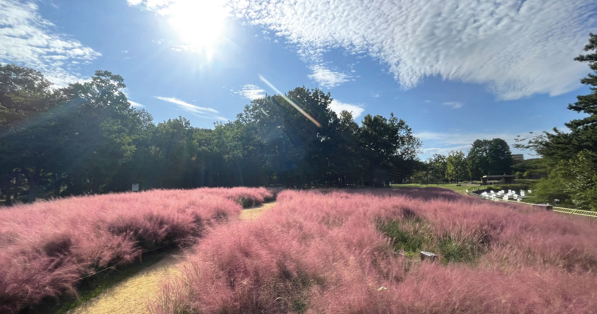 大阪市立長居植物園 長居公園内の日本有数の植物園